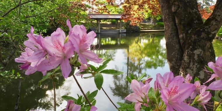 大本長島支部だより令和3年3月号