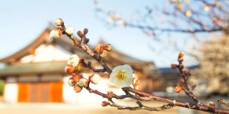 大本三河本苑だより令和3年6月号