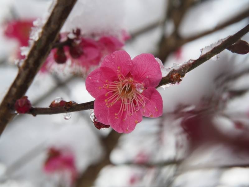 「つらいとき苦しいときに」