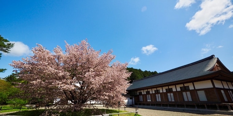 大本碧南分所だより令和3年6月号