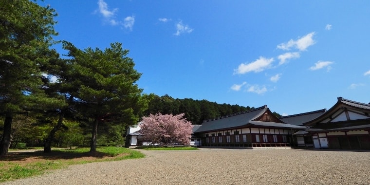 「心と体の健康を保つ秘訣とは？」