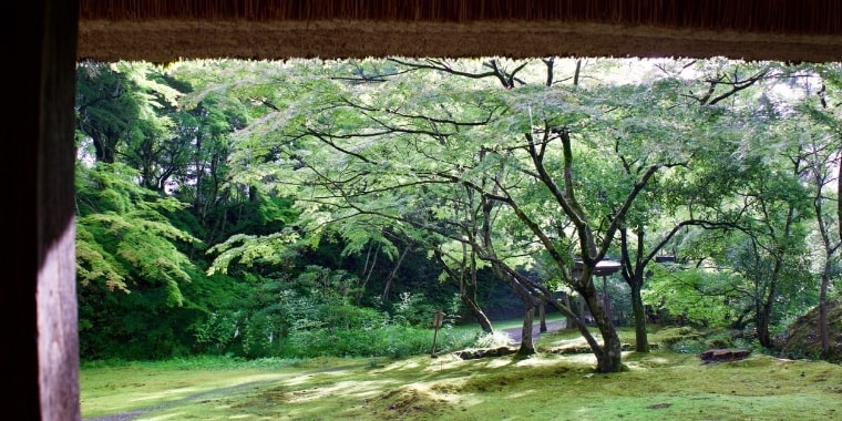 大本三河本苑だより令和3年8月号