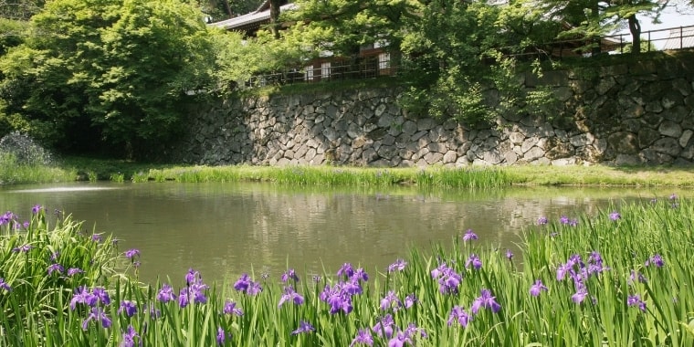 大本三河本苑だより令和3年7月号