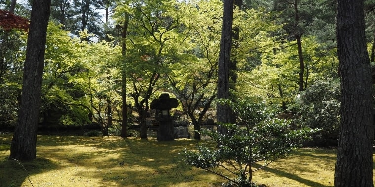 大本名古屋分苑たより令和3年8月号