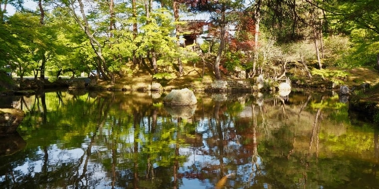 「笑いは天国の門」