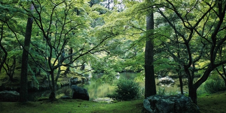 三河本苑碧南分所だより令和3年9月号