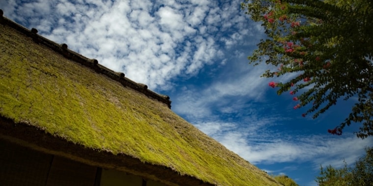 大本三河本苑だより令和3年11月号