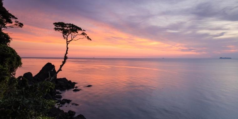 大本名古屋分苑たより令和3年11月号