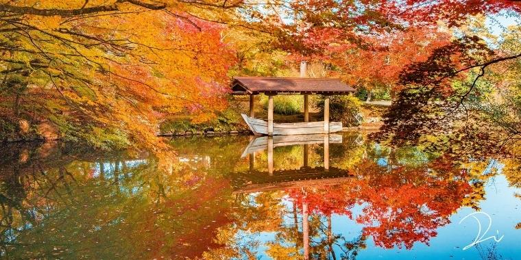 『極彩色の京都ー四季の名所めぐり』に見る自然という芸術の向こう側