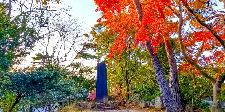 三河本苑碧南分所だより令和3年12月号