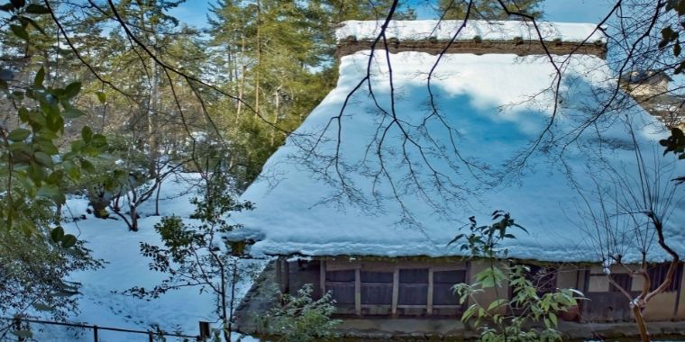 大本三河本苑だより令和4年2月号