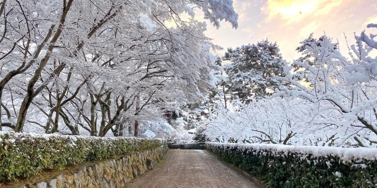 くり返し起こる不都合なことには原因がある?負のループから抜け出す方法