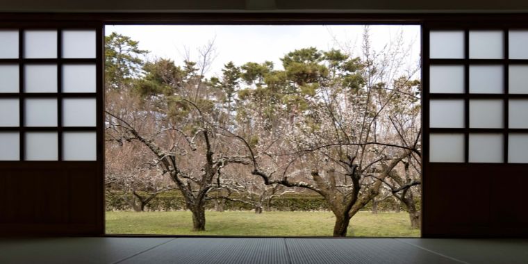 鳳雛館室内からの梅園