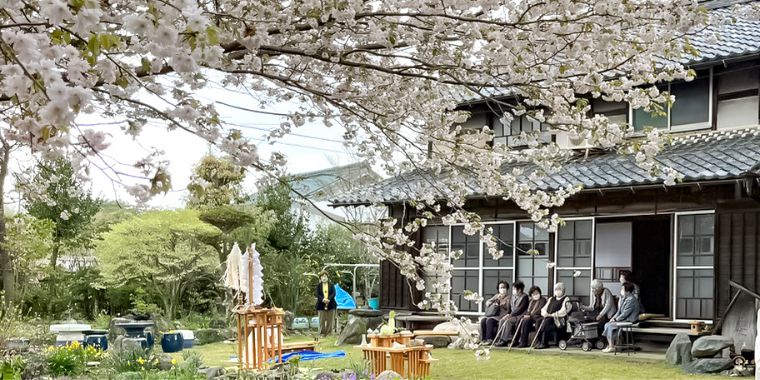 このはなざくら祭典