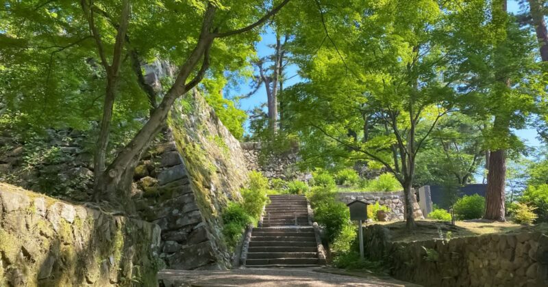 「み手代お取次ぎのご神徳談」