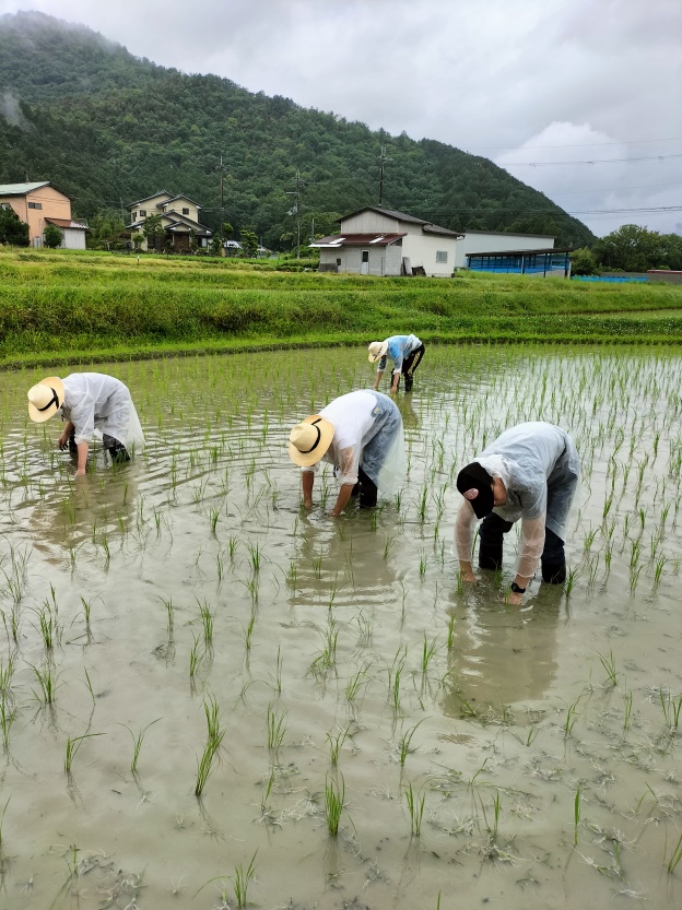 東海教区青松会錬成道場田草引き