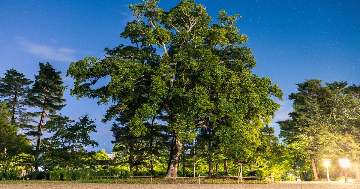 「大本開祖伝」に思う