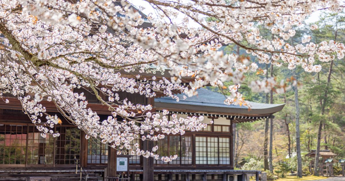 「楽天にいきましょう！」