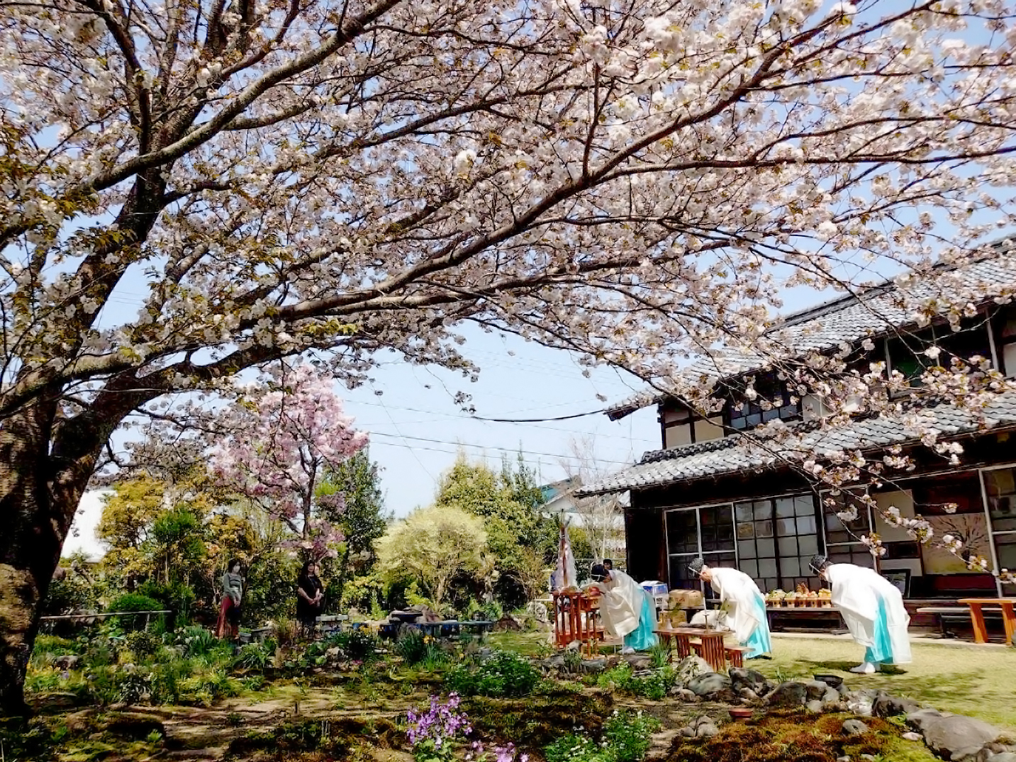 三重主会員弁支部活動報告「このはなざくら世界平和祈願祭」