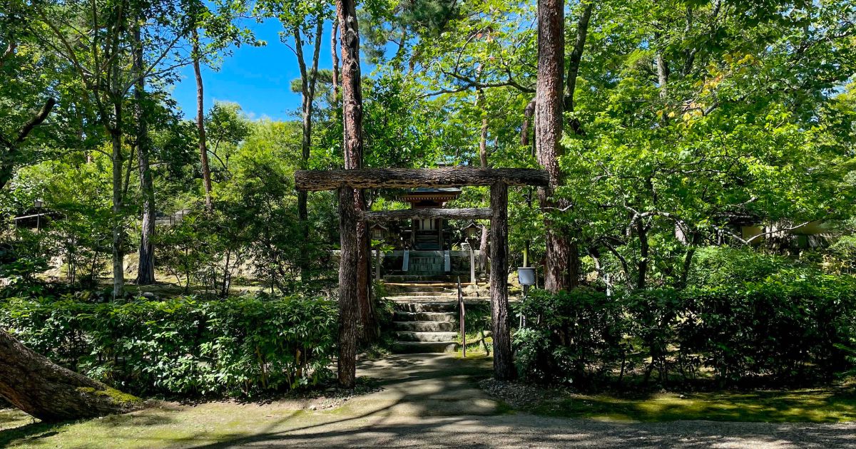 世のありさまと人間の未来