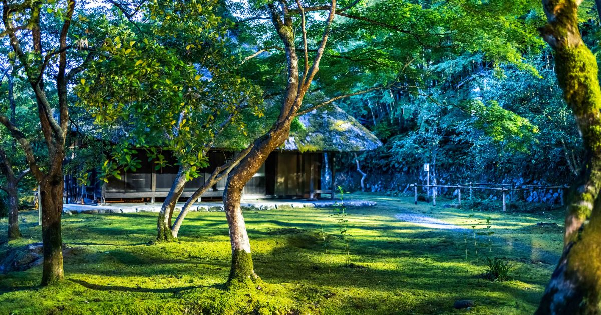 引き寄せの法則｜何を信じるかで現実が変わる