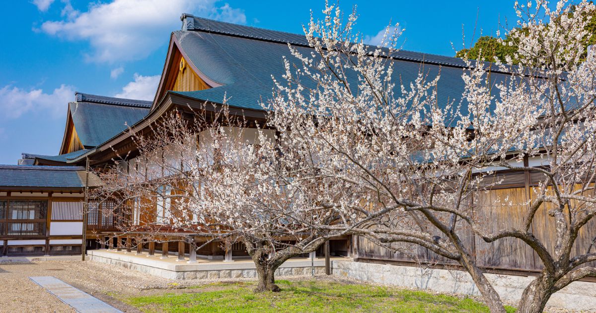 長野主会直心会活動報告